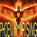 phoenix rising profile picture